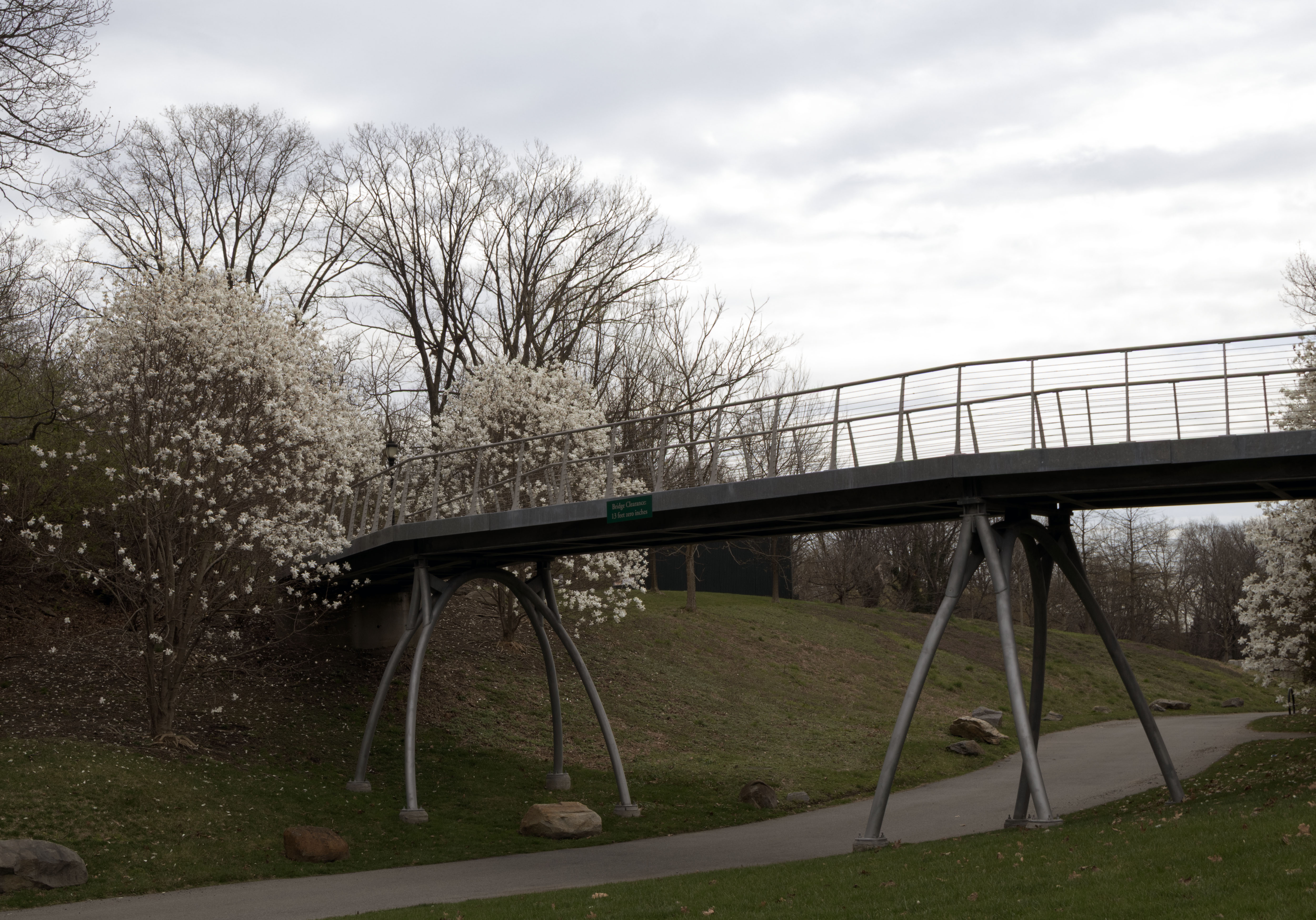 Pedestrian bridge over a park path, surrounded by blooming trees under a cloudy sky